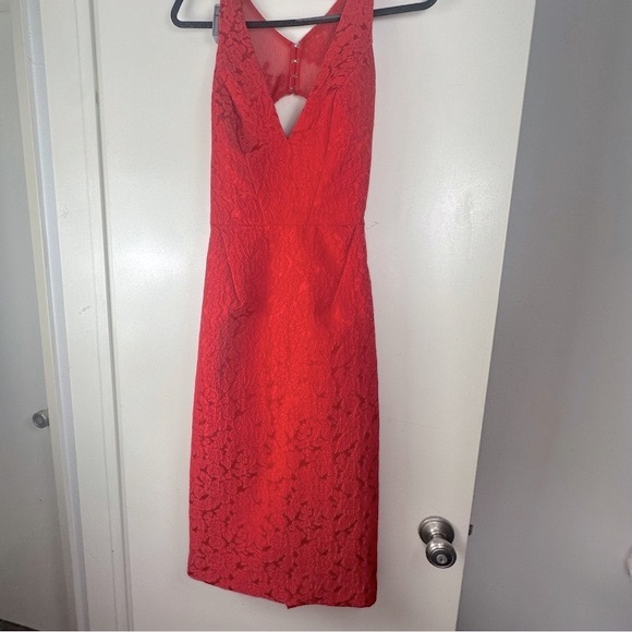 Monique Lhuillier Red-berry Floral Lace Sleeveless Mesh Cutout Back Dress NWT 6 - Picture 1 of 16